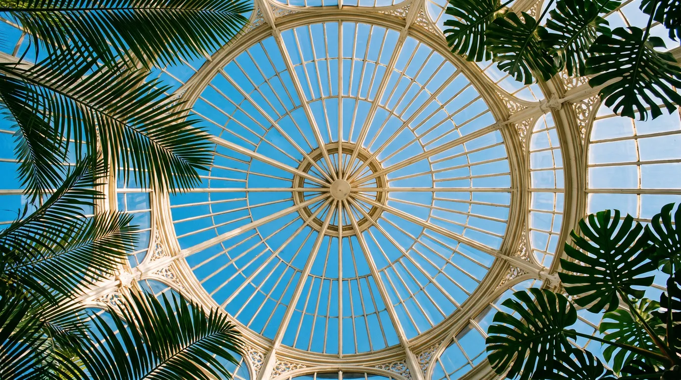 Stillwater Media creative image looking up into a sunlit glass conservatory dome framed by palms, illustrating hospital foundation major gift donor advertising